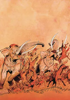 Conquests - Chiến Chinh