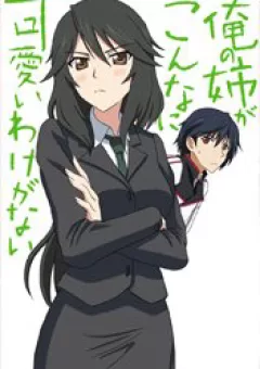 Infinite Stratos Doujinshi- My Older Sister can't be this overprotective