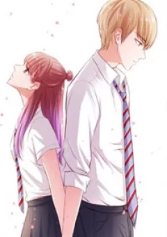 Vương Bài Yếu Đuối Theo Đuổi Tình Yêu