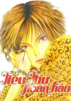 Tiểu Thư Hoàn Hảo