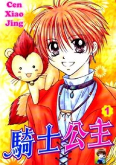 Công Chúa Của Chúng Tôi Là Một Thằng Hiệp Sĩ