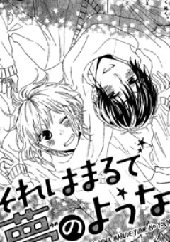 Sore wa maru de yume no you na