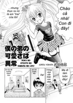 Boku no Otouto no Kawaisa wa Ijou