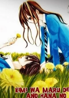 Kimi wa Maru de, Ano Hana no You de