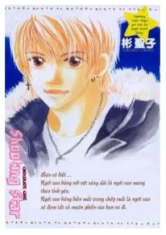 Chocolate cake shooting star