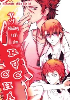 Bóng Chuyền Nảy Lửa - Doujinshi