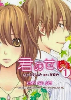 Kimi no Sei