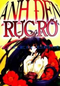 Ánh đèn rực rỡ