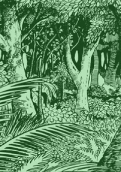 Truyện Tranh Phật Giáo Nhật Bản Q2