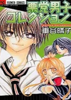 Akutou Danshi Collection