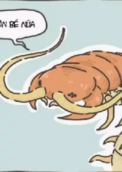 Bé Rết Muốn Được Hôn ?