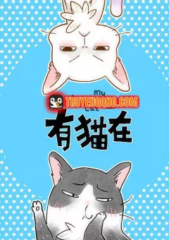 Ở Đây Có Mèo