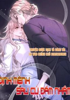 Định Mệnh Sau Cú Đấm Nhầm