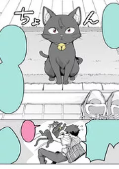 Bé Mèo Yandere Của Tôi Yêu Tôi Rất Nhiều