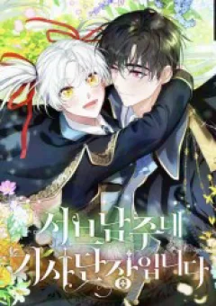 Đoàn Trưởng Kỵ Sĩ Của Nam Phụ