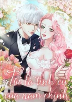 Tôi Là Tình Cũ Của Nam Chính