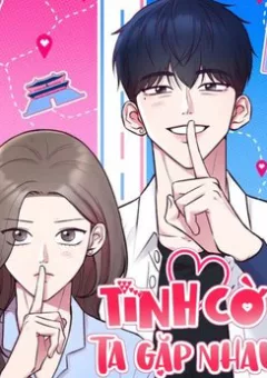 Tình Cờ Ta Gặp Nhau